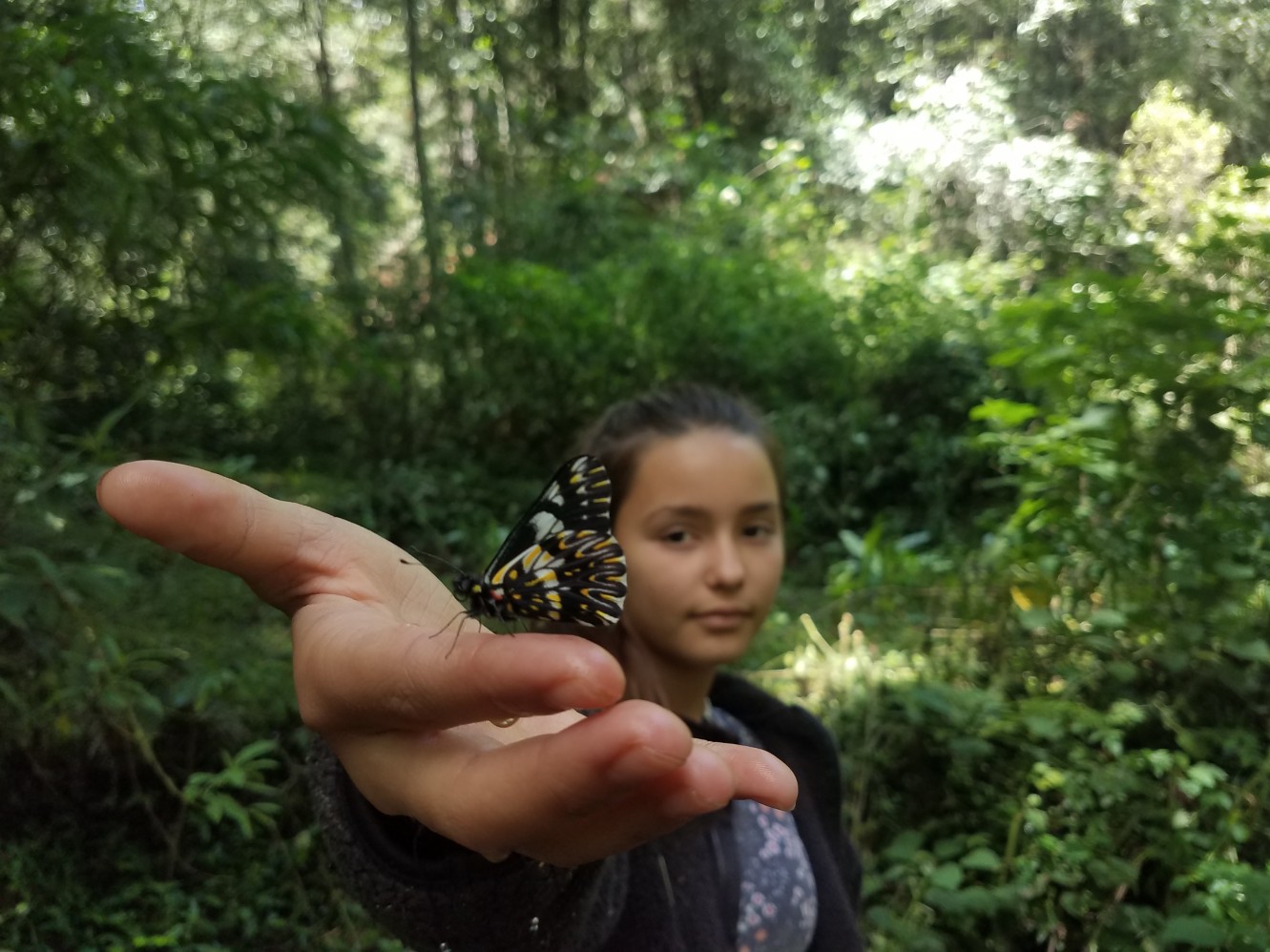 foto niña mariposa