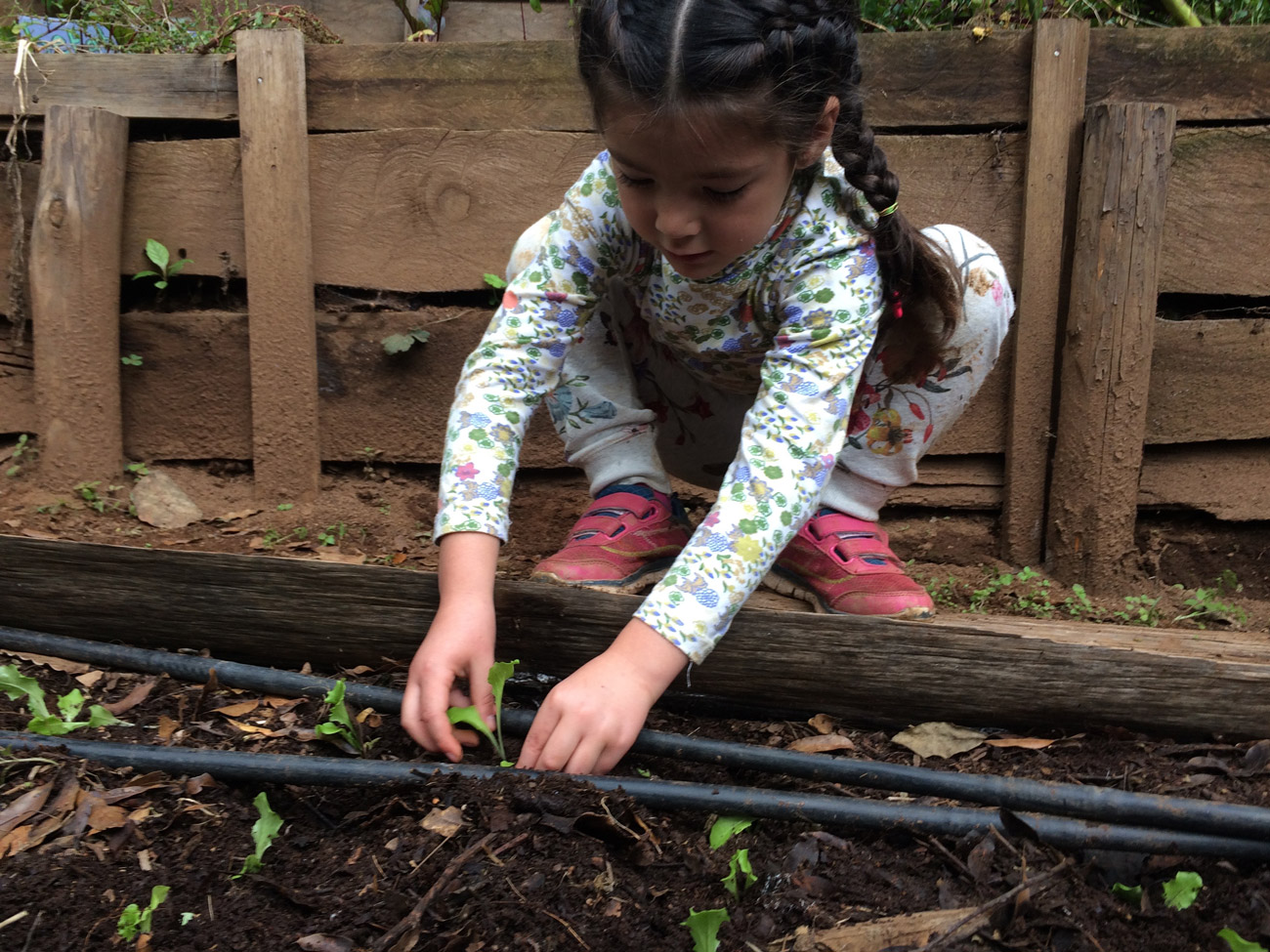 niña sembrando huerto